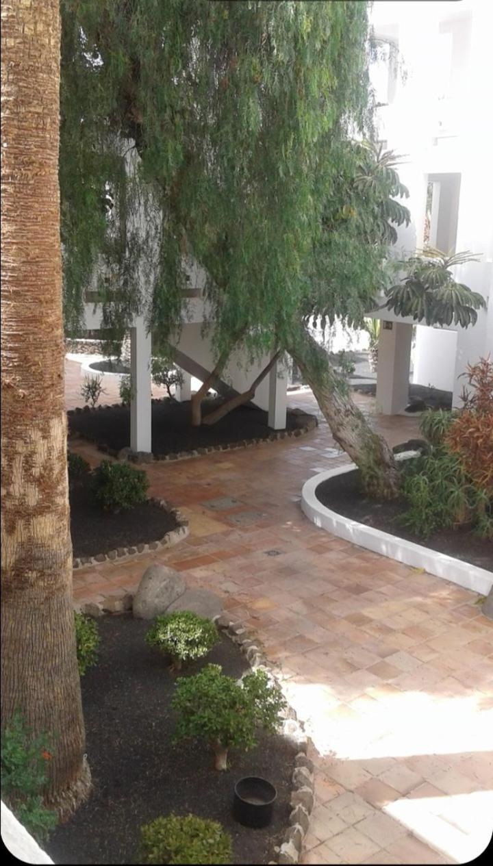 Los Molinos. Apartamento Miramar Costa Teguise Exterior photo